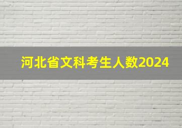 河北省文科考生人数2024