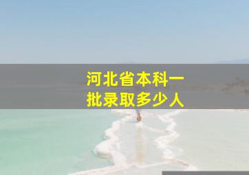 河北省本科一批录取多少人