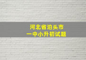 河北省泊头市一中小升初试题