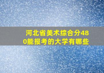 河北省美术综合分480能报考的大学有哪些