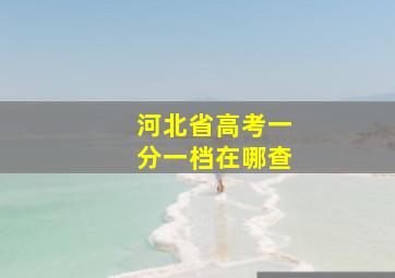 河北省高考一分一档在哪查