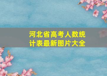 河北省高考人数统计表最新图片大全