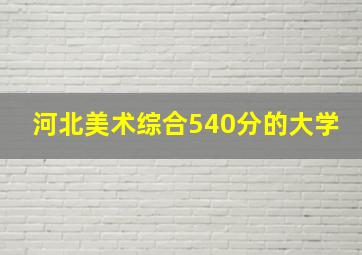 河北美术综合540分的大学