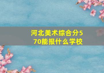 河北美术综合分570能报什么学校