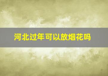 河北过年可以放烟花吗