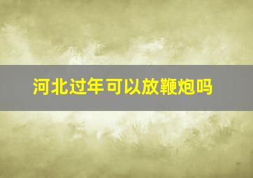 河北过年可以放鞭炮吗