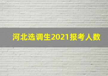 河北选调生2021报考人数