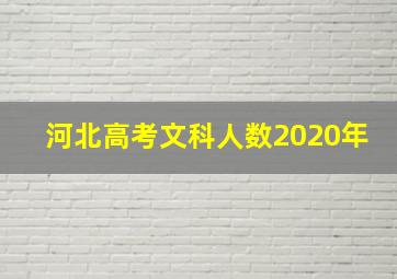 河北高考文科人数2020年