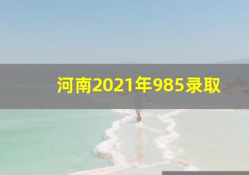 河南2021年985录取