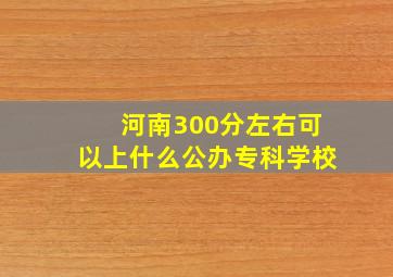 河南300分左右可以上什么公办专科学校