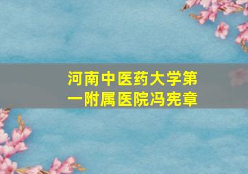 河南中医药大学第一附属医院冯宪章