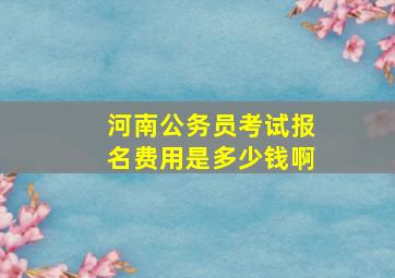 河南公务员考试报名费用是多少钱啊