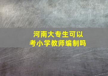 河南大专生可以考小学教师编制吗