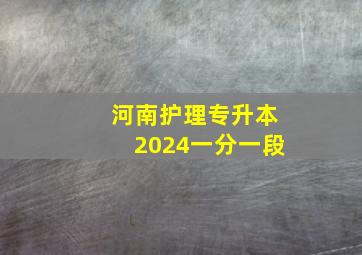 河南护理专升本2024一分一段