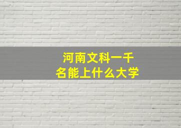 河南文科一千名能上什么大学