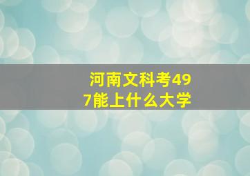 河南文科考497能上什么大学