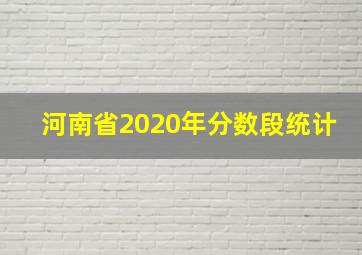 河南省2020年分数段统计