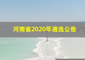 河南省2020年遴选公告