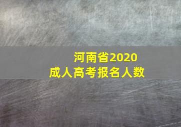 河南省2020成人高考报名人数