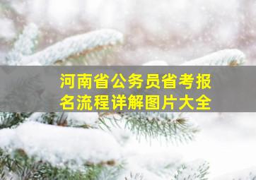 河南省公务员省考报名流程详解图片大全