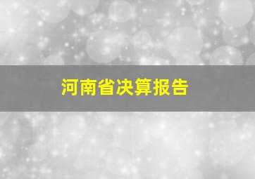 河南省决算报告