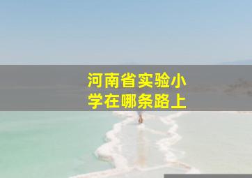 河南省实验小学在哪条路上