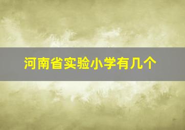 河南省实验小学有几个