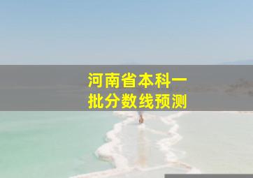 河南省本科一批分数线预测