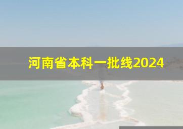 河南省本科一批线2024