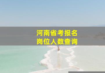 河南省考报名岗位人数查询