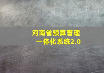 河南省预算管理一体化系统2.0