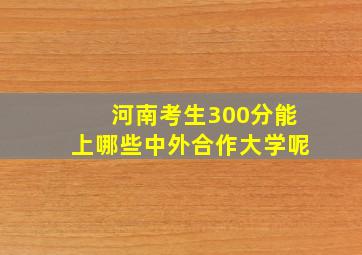 河南考生300分能上哪些中外合作大学呢