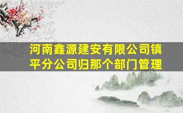 河南鑫源建安有限公司镇平分公司归那个部门管理