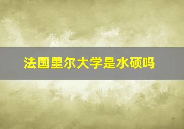 法国里尔大学是水硕吗