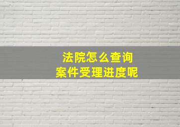 法院怎么查询案件受理进度呢