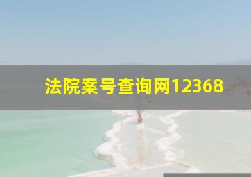 法院案号查询网12368