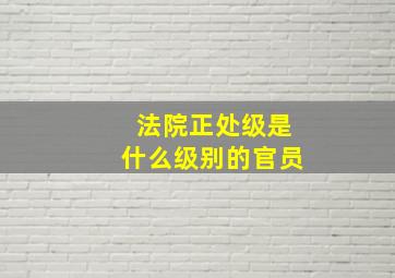 法院正处级是什么级别的官员