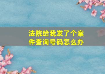 法院给我发了个案件查询号码怎么办