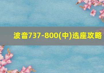 波音737-800(中)选座攻略