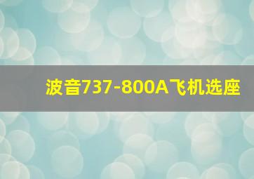 波音737-800A飞机选座