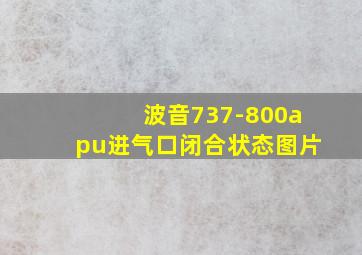 波音737-800apu进气口闭合状态图片