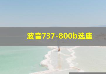 波音737-800b选座