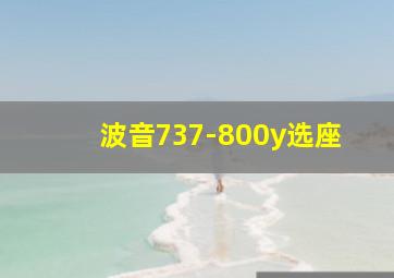 波音737-800y选座