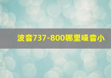 波音737-800哪里噪音小