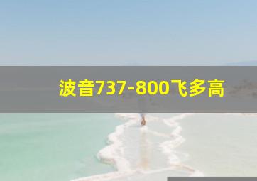 波音737-800飞多高