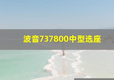 波音737800中型选座