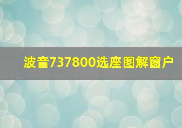 波音737800选座图解窗户