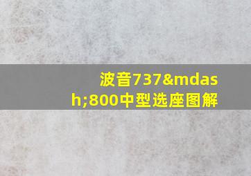 波音737—800中型选座图解