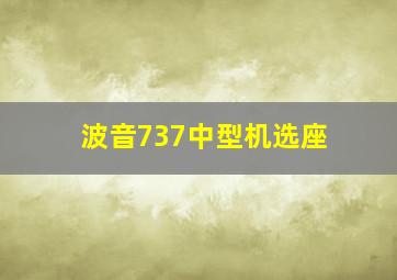 波音737中型机选座