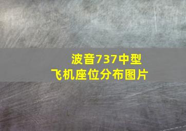 波音737中型飞机座位分布图片